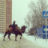 Вася  Пупчанский
