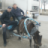 Алексей Петров