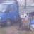 Вад Вад