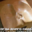 Саня Донцов