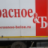 Дамир Диль