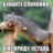 Денис Хохлов