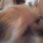 Денис Горшенин