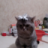 Александр Райков