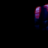 Макс Тракерр