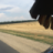 Костя Самопалов