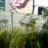 Сергей Дариуш