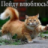 Сергей Павлович