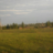 Олег Скобелев