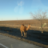 Александр  Чуб