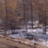 Александр Васильев