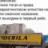 Роман  Молчанов