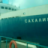 Миша Солодкий