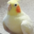 Рент Gil