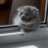 Артём Коровин