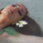 Елена Низ