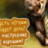Александр Браун
