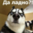 Жека  Смирнов