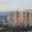 Vista Trans