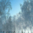 Роман Лобанов