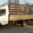 215481