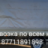 228714