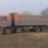 306823